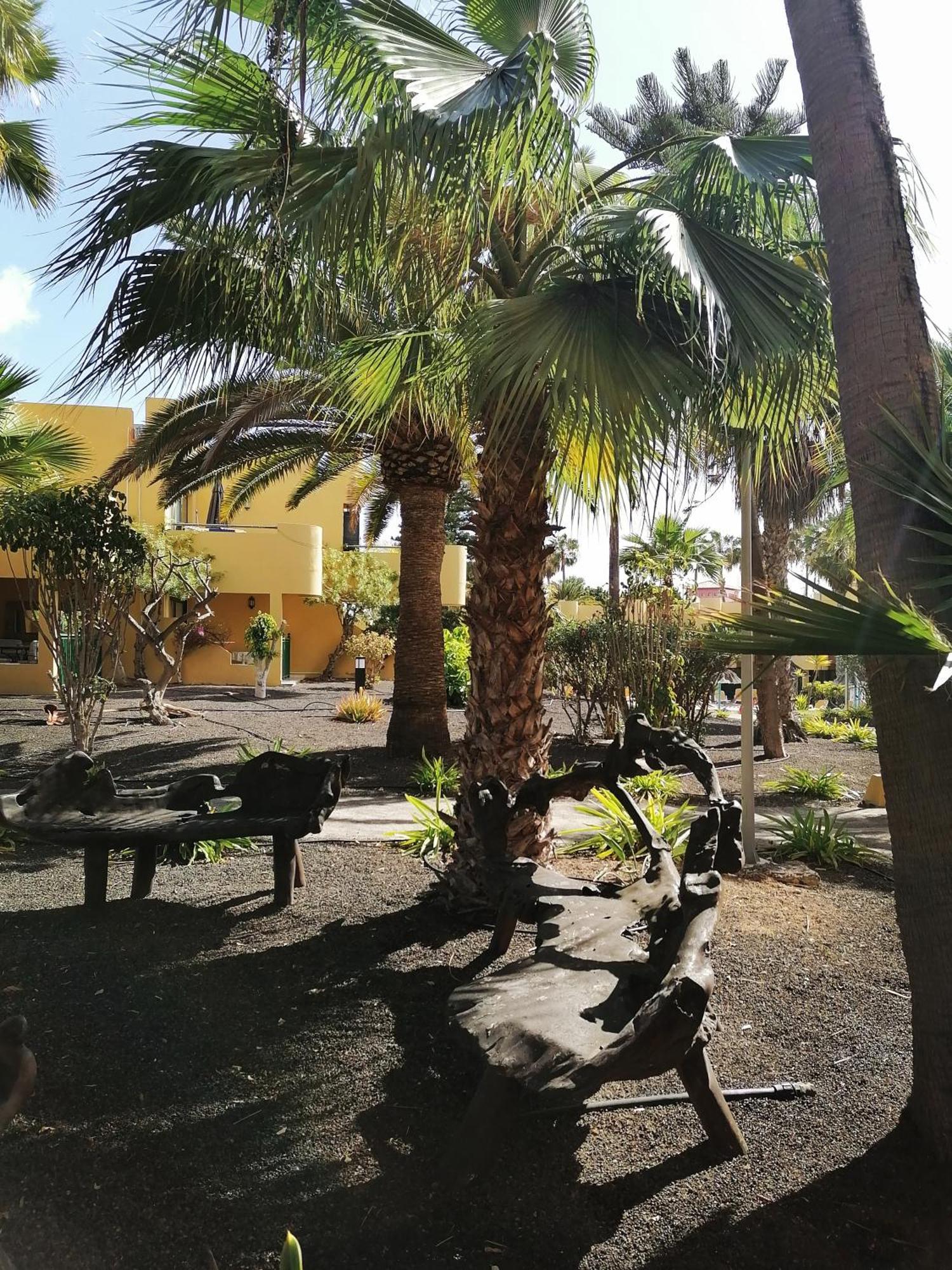 Casa Magdalena Apartment Corralejo Exterior photo